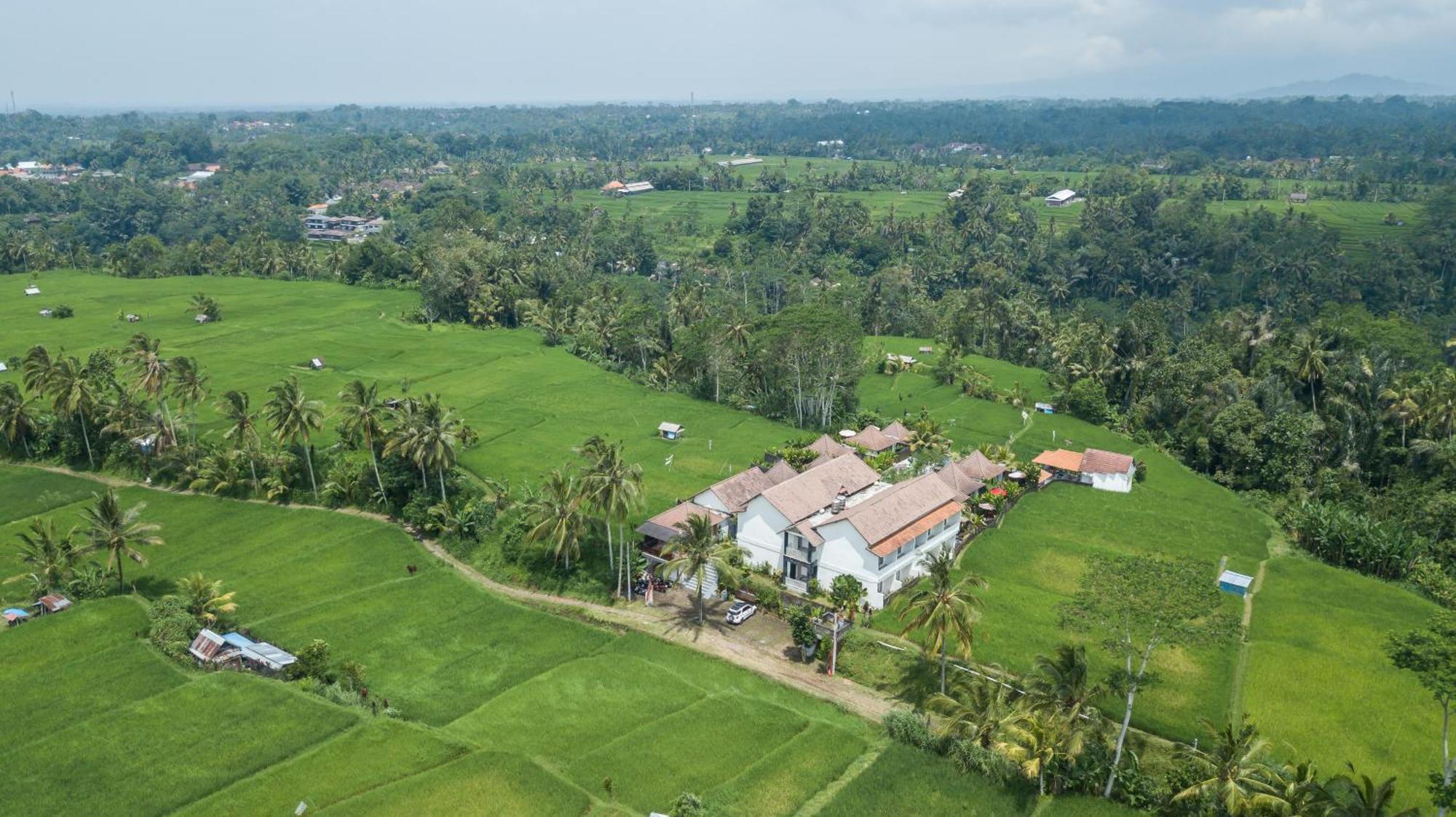 Hotel Tanta Escape Tegallalang  Exterior foto